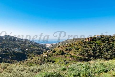 Terra em Torrox, Malaga, Torrox - € 33.000 | Ref: TP109 - foto 2
