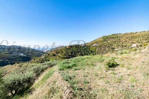 Terra em Torrox, Malaga, Torrox - € 33.000 | Ref: TP109 - foto 3