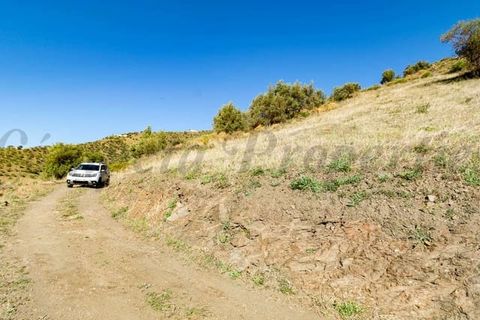 Terra em Torrox, Malaga, Torrox - € 33.000 | Ref: TP109 - foto 4