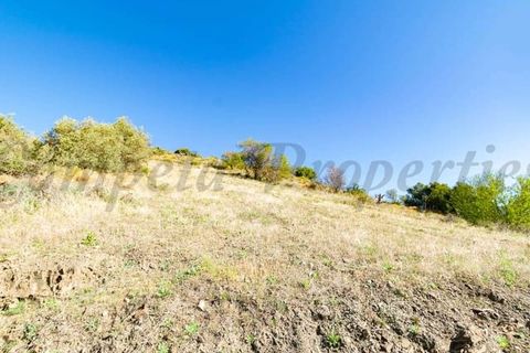 Terra em Torrox, Malaga, Torrox - € 33.000 | Ref: TP109 - foto 6