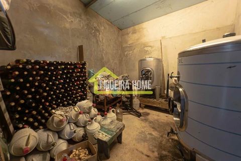 Villa i Lavos, Coimbra, Lavos - € 320.000 | Ref: FH2342 - foto 42