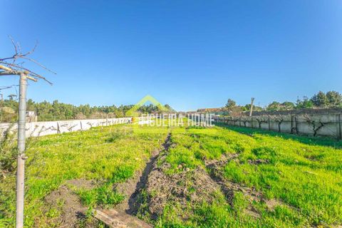 Villa i Lavos, Coimbra, Lavos - € 320.000 | Ref: FH2342 - foto 45