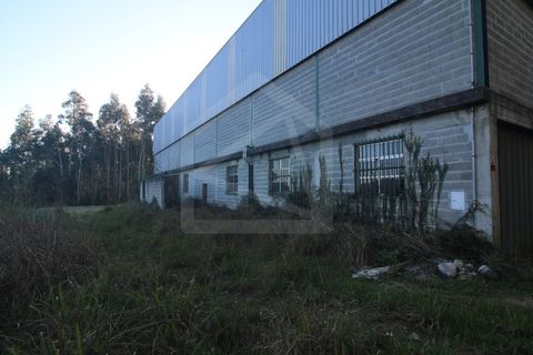 Erhvervsejendom i Sever do Vouga, Aveiro, Sever do Vouga - € 330.000 | Ref: 7725 - foto 2