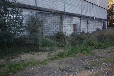 Erhvervsejendom i Sever do Vouga, Aveiro, Sever do Vouga - € 330.000 | Ref: 7725 - foto 3