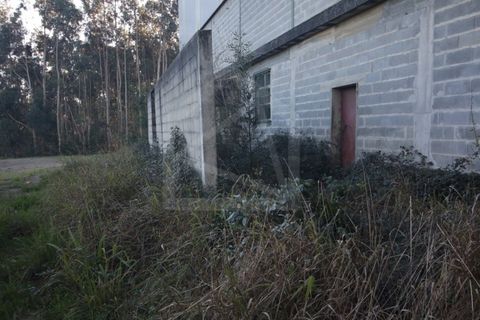 Erhvervsejendom i Sever do Vouga, Aveiro, Sever do Vouga - € 330.000 | Ref: 7725 - foto 4