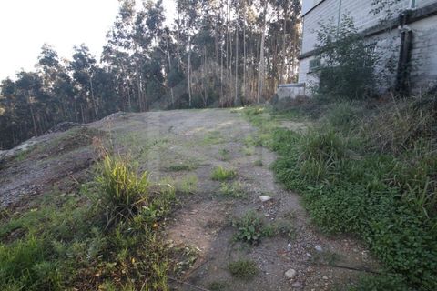 Erhvervsejendom i Sever do Vouga, Aveiro, Sever do Vouga - € 330.000 | Ref: 7725 - foto 5