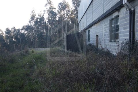 Erhvervsejendom i Sever do Vouga, Aveiro, Sever do Vouga - € 330.000 | Ref: 7725 - foto 6