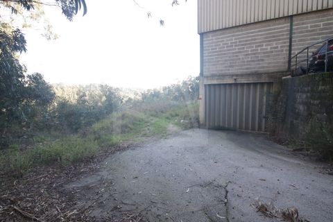 Erhvervsejendom i Sever do Vouga, Aveiro, Sever do Vouga - € 330.000 | Ref: 7725 - foto 8