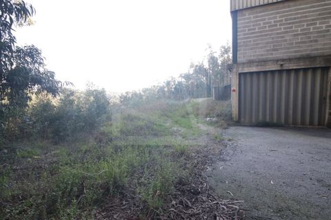 Erhvervsejendom i Sever do Vouga, Aveiro, Sever do Vouga - € 330.000 | Ref: 7725 - foto 9