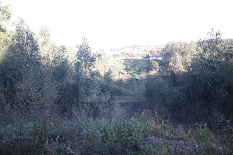 Erhvervsejendom i Sever do Vouga, Aveiro, Sever do Vouga - € 330.000 | Ref: 7725 - foto 11