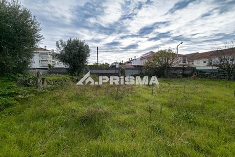 Helårsgrund i Castelo Branco, Castelo Branco, Castelo Branco - € 24.500 | Ref: PP4274 - foto 5