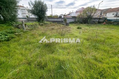 Helårsgrund i Castelo Branco, Castelo Branco, Castelo Branco - € 24.500 | Ref: PP4274 - foto 2