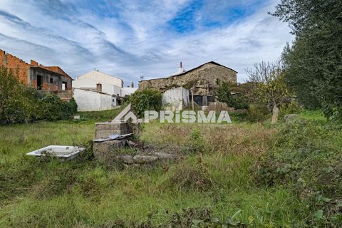 Helårsgrund i Castelo Branco, Castelo Branco, Castelo Branco - € 24.500 | Ref: PP4274 - foto 10