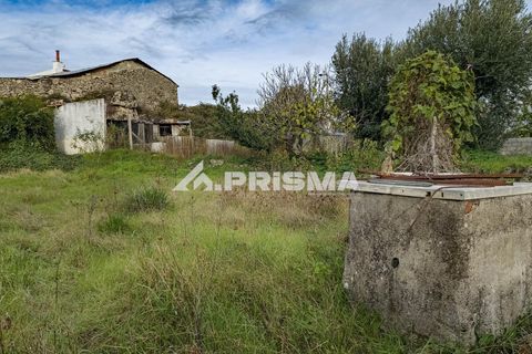 Helårsgrund i Castelo Branco, Castelo Branco, Castelo Branco - € 24.500 | Ref: PP4274 - foto 1