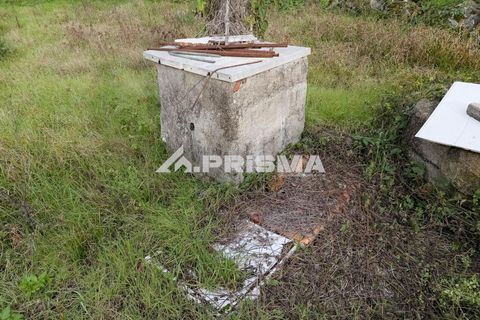 Helårsgrund i Castelo Branco, Castelo Branco, Castelo Branco - € 24.500 | Ref: PP4274 - foto 11