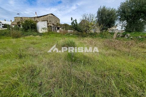 Helårsgrund i Castelo Branco, Castelo Branco, Castelo Branco - € 24.500 | Ref: PP4274 - foto 9