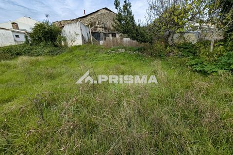 Helårsgrund i Castelo Branco, Castelo Branco, Castelo Branco - € 24.500 | Ref: PP4274 - foto 7