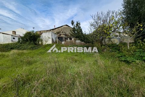 Helårsgrund i Castelo Branco, Castelo Branco, Castelo Branco - € 24.500 | Ref: PP4274 - foto 6
