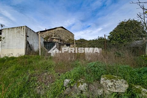 Helårsgrund i Castelo Branco, Castelo Branco, Castelo Branco - € 24.500 | Ref: PP4274 - foto 8