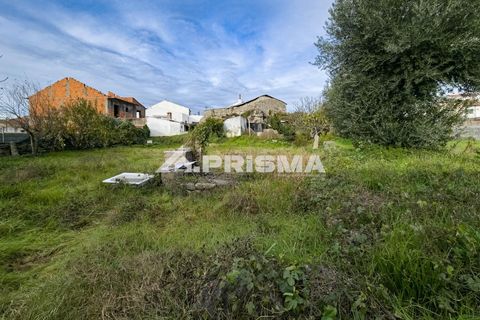 Helårsgrund i Castelo Branco, Castelo Branco, Castelo Branco - € 24.500 | Ref: PP4274 - foto 3