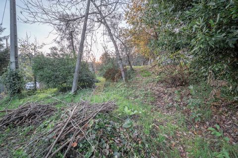 Helårsgrund i Fafe, Braga, Fafe - € 39.000 | Ref: 002-260 - foto 6