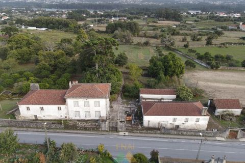Farm i Viana do Castelo, Viana do Castelo, Viana do Castelo - € 850.000 | Ref: PTL-001-001 - foto 3