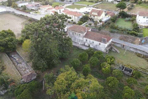 Farm i Viana do Castelo, Viana do Castelo, Viana do Castelo - € 850.000 | Ref: PTL-001-001 - foto 5