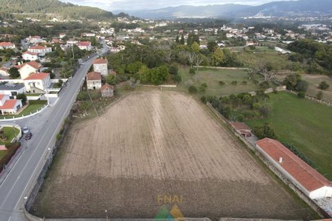 Farm i Viana do Castelo, Viana do Castelo, Viana do Castelo - € 850.000 | Ref: PTL-001-001 - foto 6