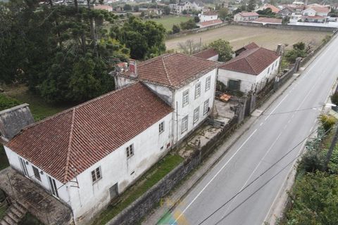Farm i Viana do Castelo, Viana do Castelo, Viana do Castelo - € 850.000 | Ref: PTL-001-001 - foto 8