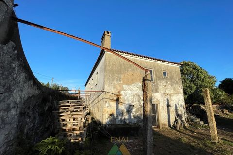 Farm i Viana do Castelo, Viana do Castelo, Viana do Castelo - € 850.000 | Ref: PTL-001-001 - foto 10