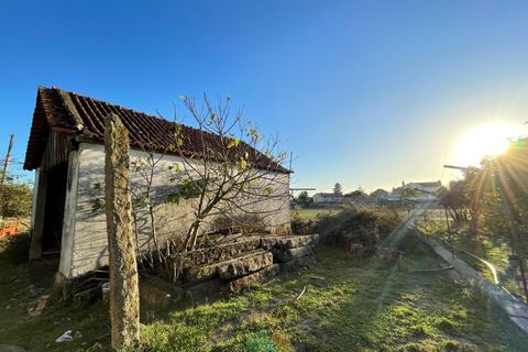 Farm i Viana do Castelo, Viana do Castelo, Viana do Castelo - € 850.000 | Ref: PTL-001-001 - foto 11