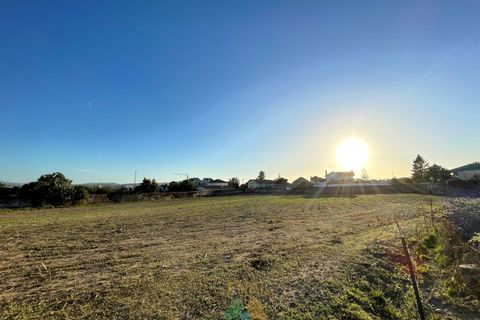 Farm i Viana do Castelo, Viana do Castelo, Viana do Castelo - € 850.000 | Ref: PTL-001-001 - foto 12