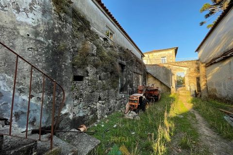 Farm i Viana do Castelo, Viana do Castelo, Viana do Castelo - € 850.000 | Ref: PTL-001-001 - foto 13