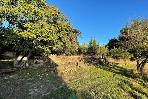 Farm i Viana do Castelo, Viana do Castelo, Viana do Castelo - € 850.000 | Ref: PTL-001-001 - foto 14