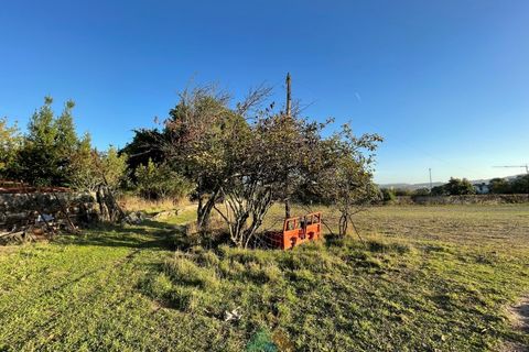 Farm i Viana do Castelo, Viana do Castelo, Viana do Castelo - € 850.000 | Ref: PTL-001-001 - foto 15