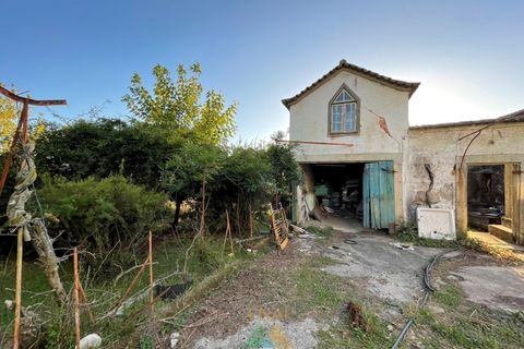 Farm i Viana do Castelo, Viana do Castelo, Viana do Castelo - € 850.000 | Ref: PTL-001-001 - foto 18
