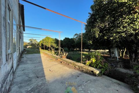 Farm i Viana do Castelo, Viana do Castelo, Viana do Castelo - € 850.000 | Ref: PTL-001-001 - foto 19