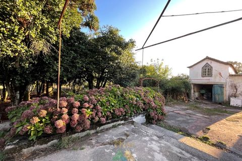 Farm i Viana do Castelo, Viana do Castelo, Viana do Castelo - € 850.000 | Ref: PTL-001-001 - foto 20