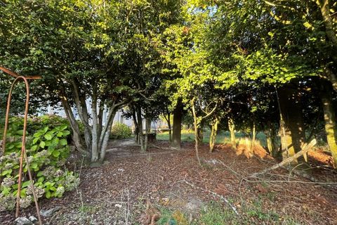 Farm i Viana do Castelo, Viana do Castelo, Viana do Castelo - € 850.000 | Ref: PTL-001-001 - foto 21