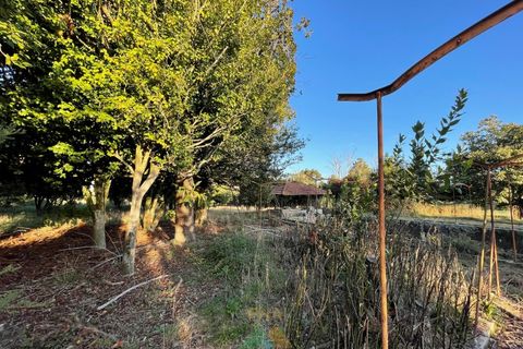 Farm i Viana do Castelo, Viana do Castelo, Viana do Castelo - € 850.000 | Ref: PTL-001-001 - foto 22