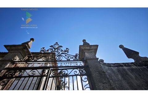Farm i Viana do Castelo, Viana do Castelo, Viana do Castelo - € 850.000 | Ref: PTL-001-001 - foto 26