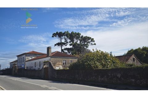 Farm i Viana do Castelo, Viana do Castelo, Viana do Castelo - € 850.000 | Ref: PTL-001-001 - foto 27