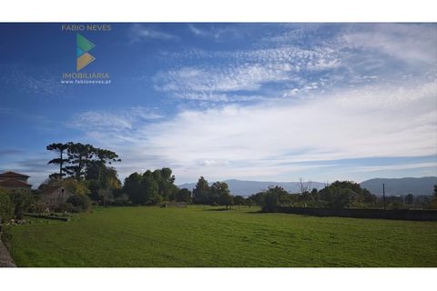 Farm i Viana do Castelo, Viana do Castelo, Viana do Castelo - € 850.000 | Ref: PTL-001-001 - foto 28