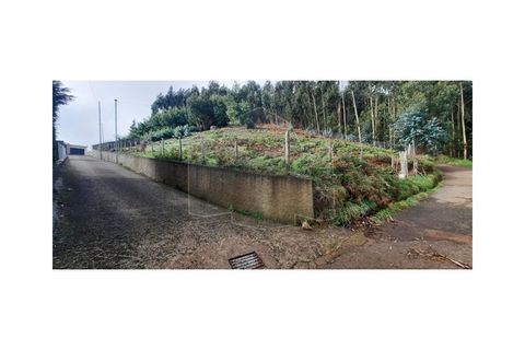 Terra a Camacha, Madeira, Camacha - € 160.000 | Ref: TER_231 - foto 2