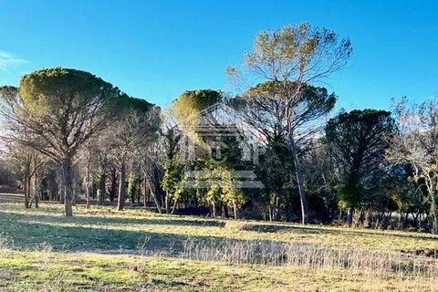 Tomt i Tourrettes, Var, Tourrettes - € 250 000 | Ref: 83823812 - foto 2
