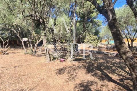 Villa i Grasse, Alpes-Maritimes, Grasse - € 900.000 | Ref: 8464V - foto 10