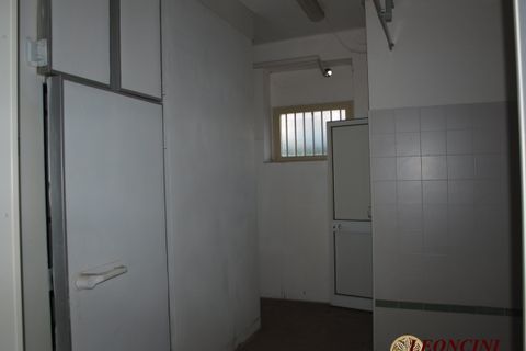 L'establiment comercial a Lucca, Lucca, Lucca - € 1.500/mes | Ref: 6087 - foto 2