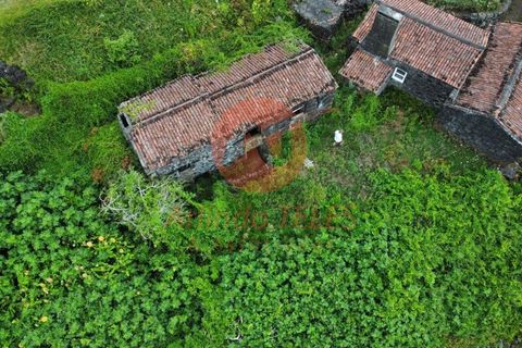 Byhus i Madalena, Pico, Madalena - € 98.500 | Ref: M888 - foto 9