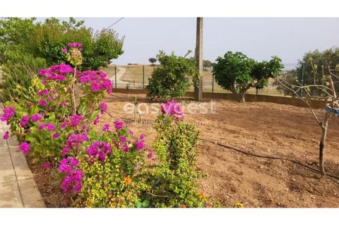 Farm hus i Ourique, Beja, Ourique - € 440.000 | Ref: BJ94243 - foto 4