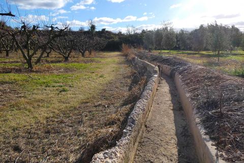 Finca i Maella, Zaragoza, Maella - € 26.000 | Ref: 0965 - foto 21
